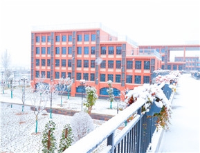 校园雪景